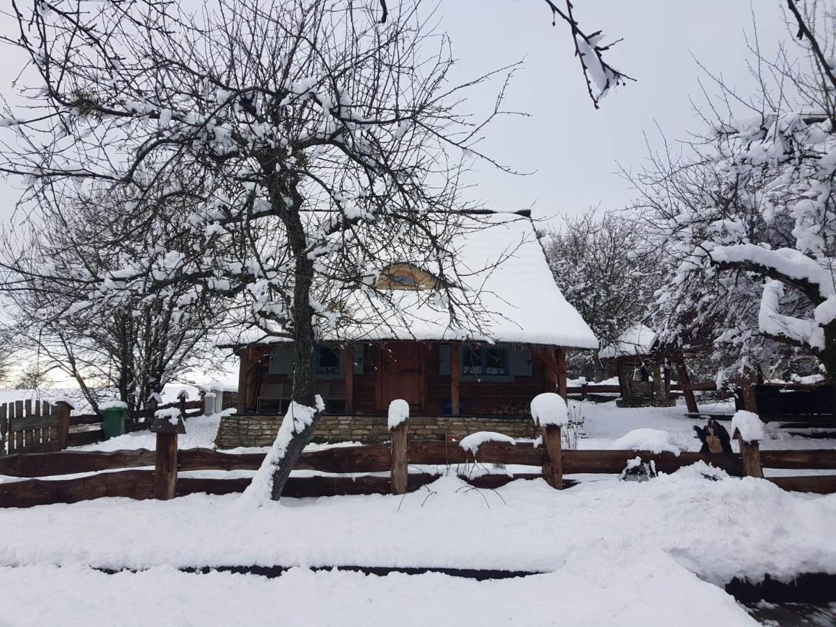 Villa Jabloniowy Sad Kalwaria Paclawska Exterior foto